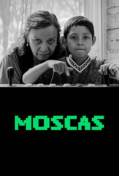 FLIES (MOSCAS)