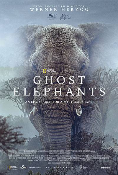 GHOST ELEPHANTS