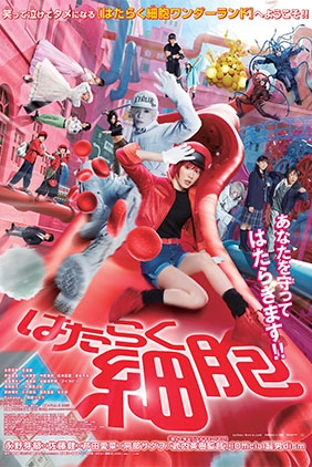 CELLS AT WORK!